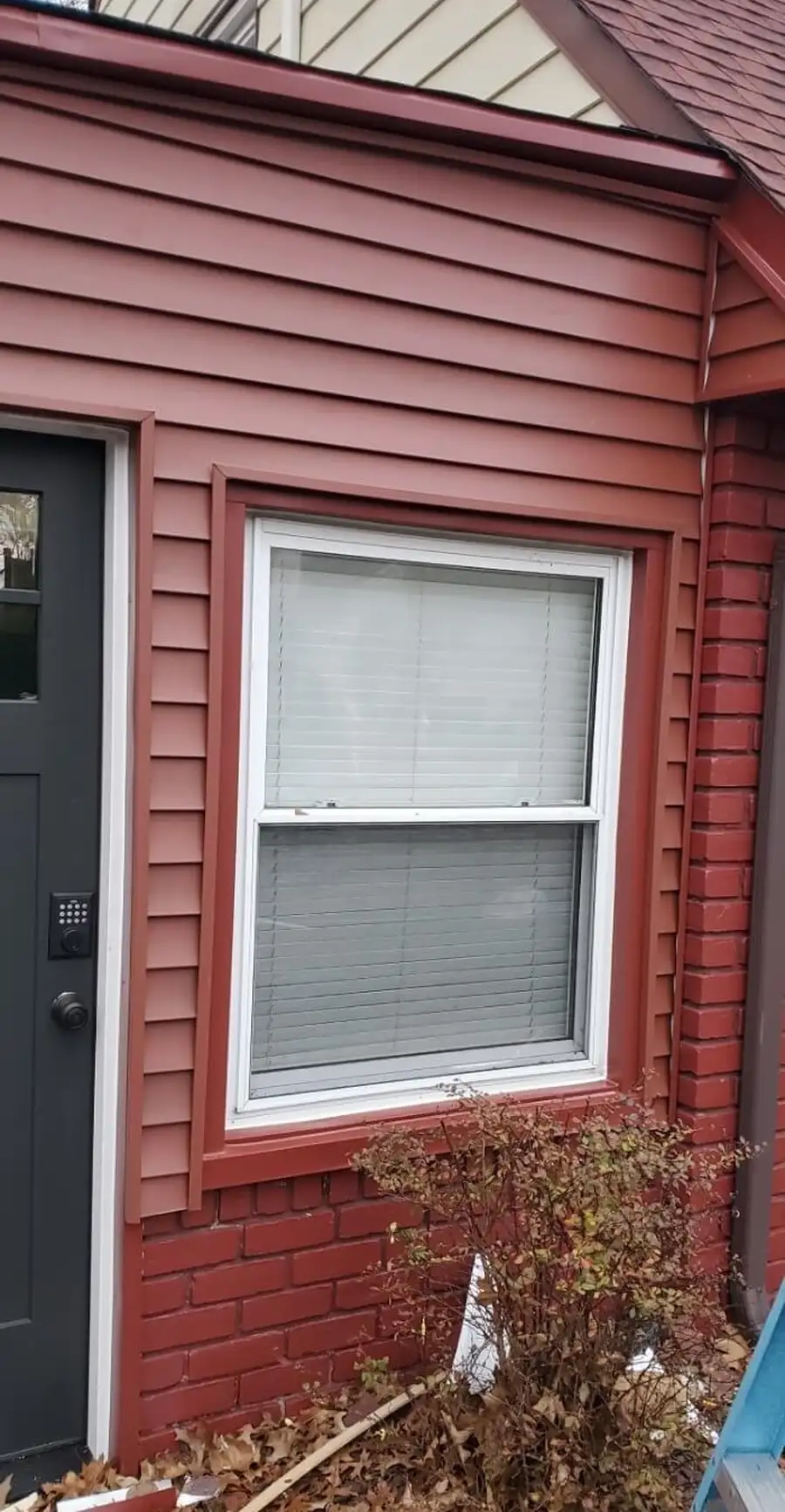 Siding Installation