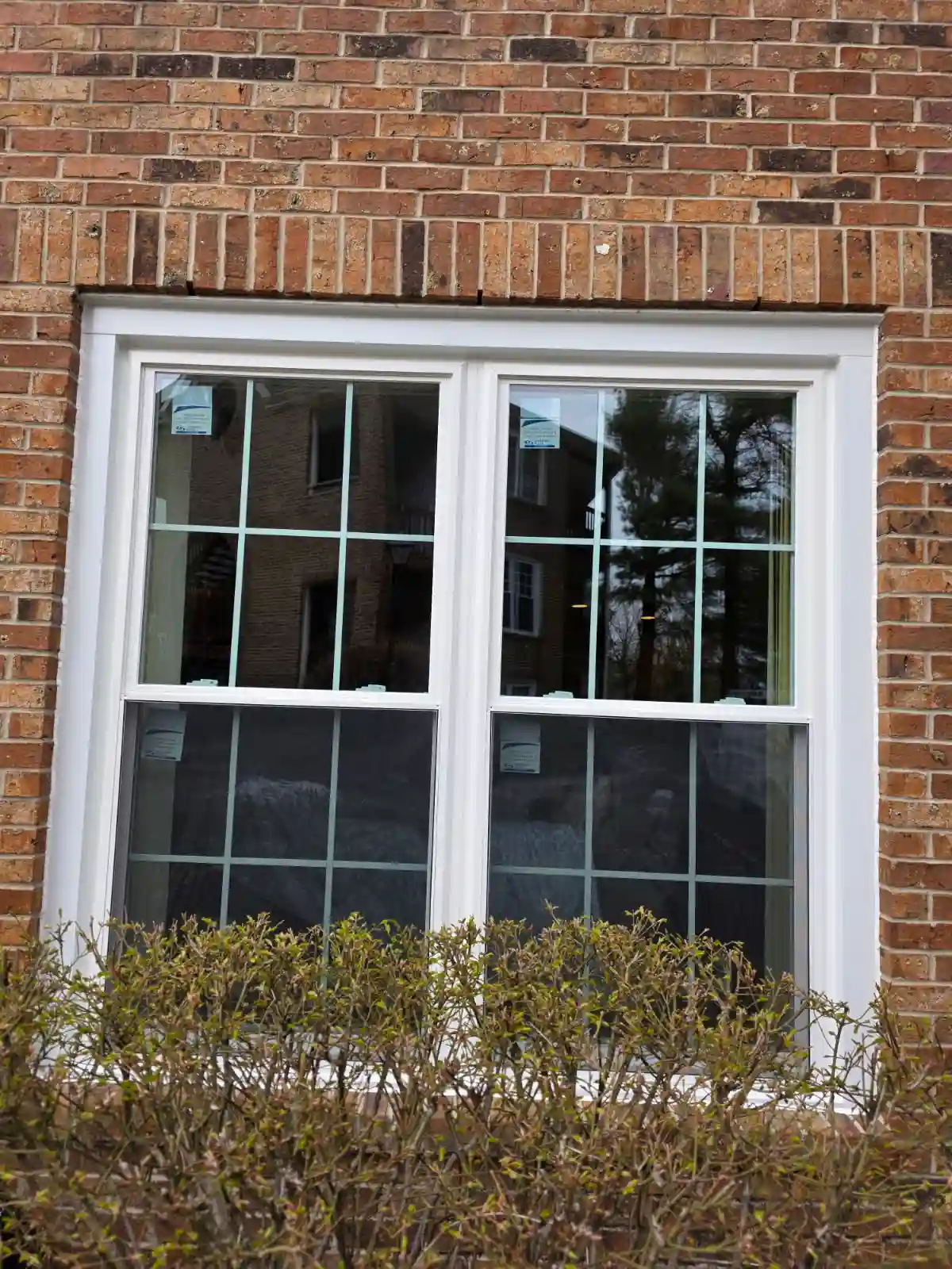 Siding Installation